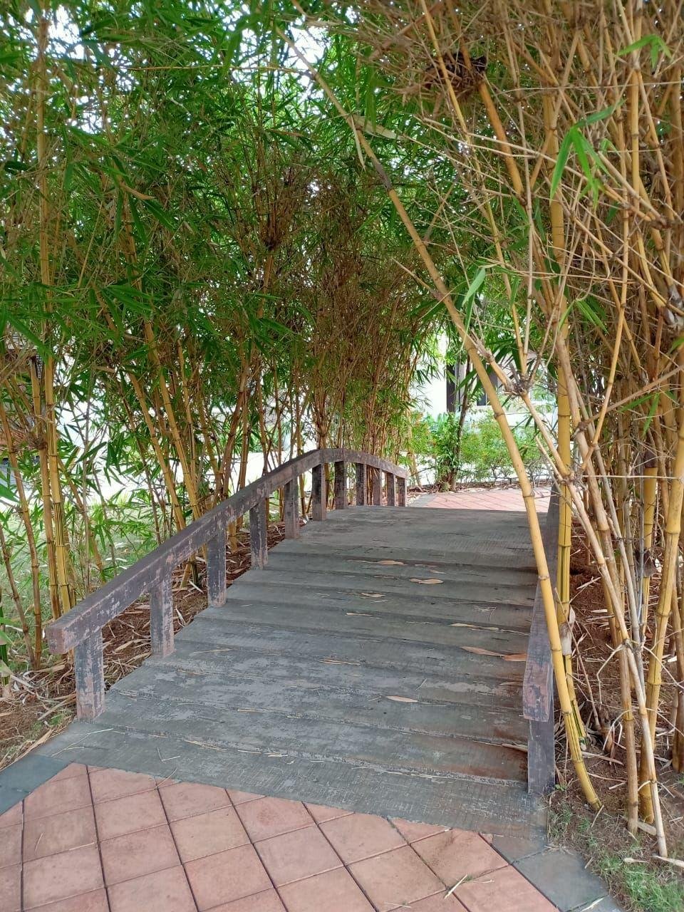 Casa Amigo Villa 4BHK